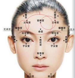 有通天纹的女人罕见:通天纹,千年面相学中的天命之相,为何女性罕见? 有通天纹的女人罕见:通天纹,千年面相学中的天命之相,为何女性罕见?