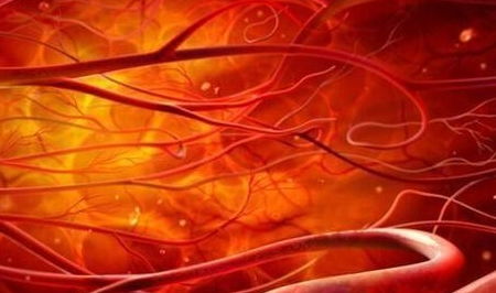 红细胞偏高一点要紧吗:红细胞偏高一点,这些原因你必须知道! 红细胞偏高一点要紧吗:红细胞偏高一点,这些原因你必须知道!