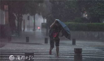 梦见狂风暴雨打进家里:狂风暴雨打进家,解密梦境中的内心风暴