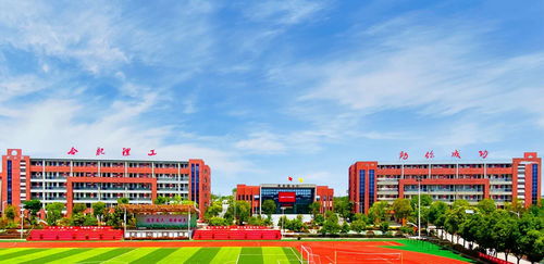 合肥理工学院是几本(合肥理工学校多少分能上) 合肥理工学院是几本(合肥理工学校多少分能上)