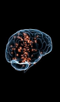 在线免费解梦:免费在线解梦,解锁潜意识密码,探寻心灵真相 在线免费解梦:免费在线解梦,解锁潜意识密码,探寻心灵真相