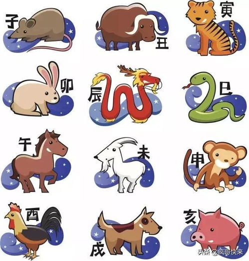 属牛的和什么属相最配、相克:属牛的幸运伴侣,最相合与相克属相全解析,你的缘分在谁身上? 属牛的和什么属相最配、相克:属牛的幸运伴侣,最相合与相克属相全解析,你的缘分在谁身上?