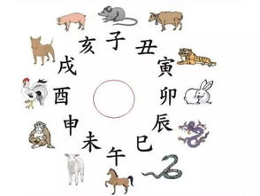 属牛的和什么属相最配、相克:属牛的幸运伴侣,最相合与相克属相全解析,你的缘分在谁身上? 属牛的和什么属相最配、相克:属牛的幸运伴侣,最相合与相克属相全解析,你的缘分在谁身上?