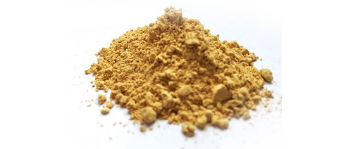 板蓝根功效作用与主治:板蓝根,传统中药的现代应用与健康守护 板蓝根功效作用与主治:板蓝根,传统中药的现代应用与健康守护