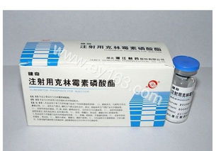 克林霉素磷酸酯注射说明书:克林霉素磷酸酯注射液说明书详解 克林霉素磷酸酯注射说明书:克林霉素磷酸酯注射液说明书详解