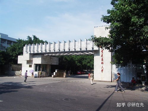 重庆医科大学研究生院(重庆医科大学研究生院地址) 重庆医科大学研究生院(重庆医科大学研究生院地址)