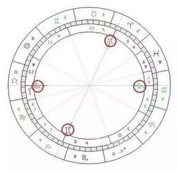 星座匹配度:星座匹配度,从星象学视角解读爱情与友情的深度契合密码 星座匹配度:星座匹配度,从星象学视角解读爱情与友情的深度契合密码
