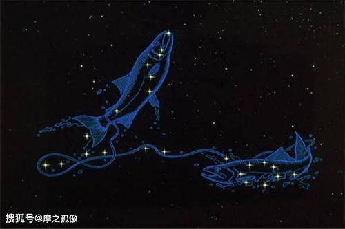 十一月份是什么星座:十一月份是什么星座?天蝎座与射手座的性格解码与运势指南 十一月份是什么星座:十一月份是什么星座?天蝎座与射手座的性格解码与运势指南