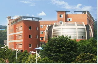 四川艺术职业学院(四川艺术职业学院招聘) 四川艺术职业学院(四川艺术职业学院招聘)