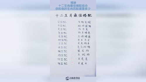 生肖配对婚姻测算:生肖配对婚姻测算,科学视角下的传统婚恋密码解析 生肖配对婚姻测算:生肖配对婚姻测算,科学视角下的传统婚恋密码解析