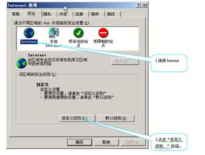 activex 控件和插件:ActiveX控件与插件,解析浏览器扩展技术的差异与安全 activex 控件和插件:ActiveX控件与插件,解析浏览器扩展技术的差异与安全