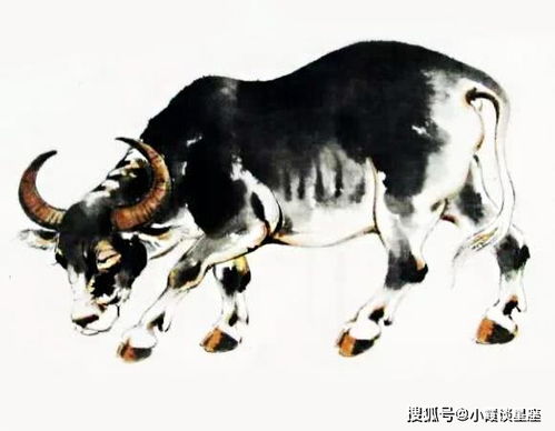 属牛女命中注定的丈夫:属牛女命中注定的丈夫,坚韧与忠诚交织的缘分天定 属牛女命中注定的丈夫:属牛女命中注定的丈夫,坚韧与忠诚交织的缘分天定