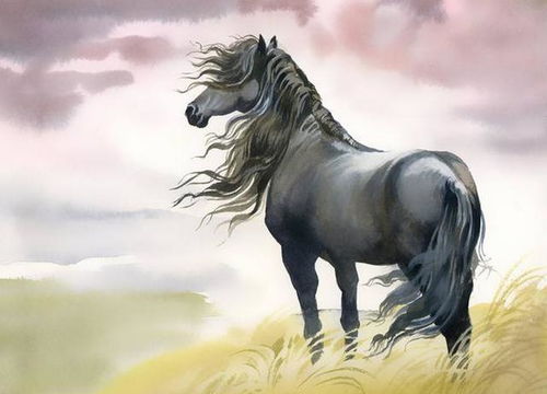 44岁男单身马的姻缘:44岁单身属马男,揭秘你的姻缘真相,2025年感情运势全解析! 44岁男单身马的姻缘:44岁单身属马男,揭秘你的姻缘真相,2025年感情运势全解析!