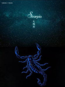 11月份是什么星座男:11月星座男解析,射手座男人的三大核心特质与相处指南 11月份是什么星座男:11月星座男解析,射手座男人的三大核心特质与相处指南
