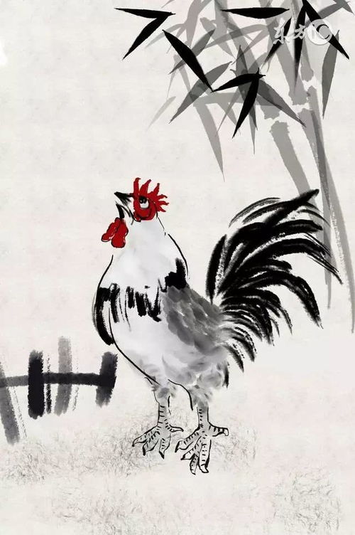 几月份的鸡最有福气:正月初一至三月鸡运亨通,传统节气中的吉祥寓意与养殖智慧 几月份的鸡最有福气:正月初一至三月鸡运亨通,传统节气中的吉祥寓意与养殖智慧