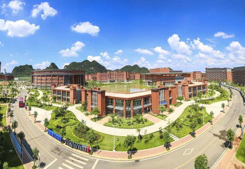 广西最好的大专(广西最好的大专院校有哪些) 广西最好的大专(广西最好的大专院校有哪些)