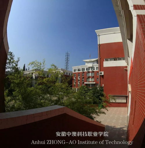 安徽中澳科技职业学院(安徽中澳科技职业学院官网) 安徽中澳科技职业学院(安徽中澳科技职业学院官网)