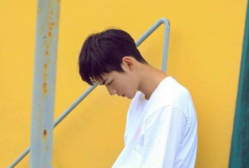 双子男最迷恋哪种女人:双子男的终极答案,他最迷恋的三大女性特质揭秘 双子男最迷恋哪种女人:双子男的终极答案,他最迷恋的三大女性特质揭秘