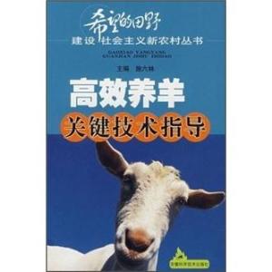 谁能压住属羊人:属羊人的天劫与守护者,谁才是他们命中的关键支撑? 谁能压住属羊人:属羊人的天劫与守护者,谁才是他们命中的关键支撑?