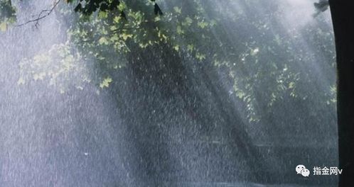 梦见大量的粪便:解密梦境,梦见大量粪便的心理隐喻与应对方法 梦见大量的粪便:解密梦境,梦见大量粪便的心理隐喻与应对方法