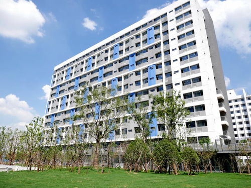 合肥信息技术职业学院学费(合肥信息技术职业学院学费多少钱) 合肥信息技术职业学院学费(合肥信息技术职业学院学费多少钱)