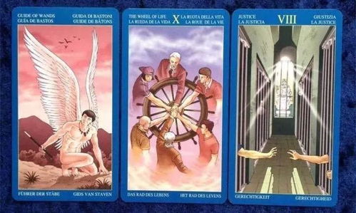 吸血鬼幸存者塔罗牌在哪:吸血鬼幸存者,塔罗牌获取全指南!终极位置与方法解析 吸血鬼幸存者塔罗牌在哪:吸血鬼幸存者,塔罗牌获取全指南!终极位置与方法解析