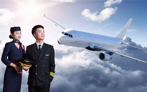 乌鲁木齐百姓植发:乌鲁木齐百姓植发需求激增,专业机构助力重拾自信 乌鲁木齐百姓植发:乌鲁木齐百姓植发需求激增,专业机构助力重拾自信