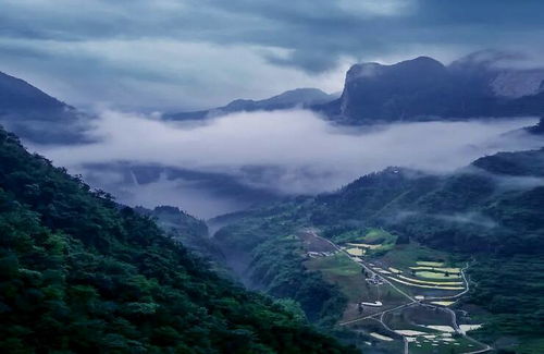 巫溪求姻缘的地方在哪里:巫溪秘境,探寻古寨与神树,这些地方是求姻缘的绝佳去处!