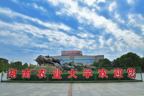 湖南师范大学研究生(湖南师范大学研究生在哪个校区) 湖南师范大学研究生(湖南师范大学研究生在哪个校区)