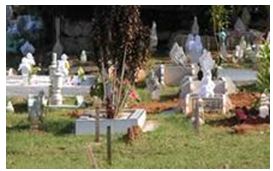 做梦梦见坟墓:解密梦境,为何总梦见坟墓? 做梦梦见坟墓:解密梦境,为何总梦见坟墓?