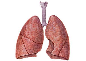 间质性肺炎严重吗:间质性肺炎严重吗?了解其危害与治疗方向