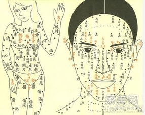 痣相图解大全 女:痣相图解大全,女性面相中痣的位置与命运解析(附科学视角) 痣相图解大全 女:痣相图解大全,女性面相中痣的位置与命运解析(附科学视角)