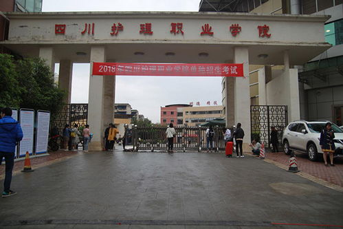 四川护理职业学院(四川护理职业学院招聘)