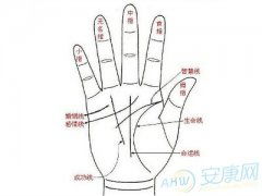 姻缘线和智慧线分叉图解:揭秘手相中的姻缘线与智慧线分叉图解,命运与智慧的交织 姻缘线和智慧线分叉图解:揭秘手相中的姻缘线与智慧线分叉图解,命运与智慧的交织