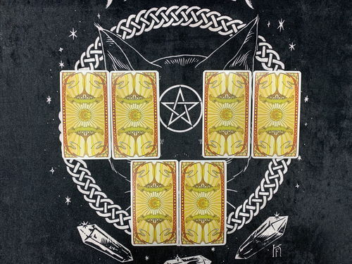 接骨木塔罗牌能量怎么样:接骨木塔罗牌能量怎么样,神秘力量的融合 接骨木塔罗牌能量怎么样:接骨木塔罗牌能量怎么样,神秘力量的融合