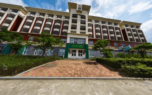 漳州职业技术学院官网(漳州职业技术学院官网主页) 漳州职业技术学院官网(漳州职业技术学院官网主页)