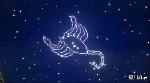 12月23日是什么星座星座:12月23日,摩羯座与射手座交界日,你的星座能量如何开启? 12月23日是什么星座星座:12月23日,摩羯座与射手座交界日,你的星座能量如何开启?