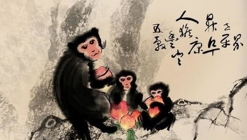 属猴1980年43岁情劫:属猴1980年43岁,情劫来袭,智勇双全方能破局 属猴1980年43岁情劫:属猴1980年43岁,情劫来袭,智勇双全方能破局