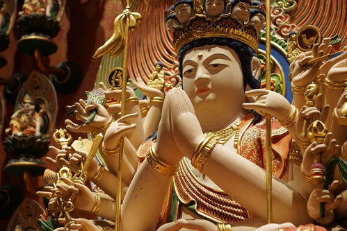 招正姻缘用什么佛牌:招正姻缘用什么佛牌?这些佛牌助你遇见良缘 招正姻缘用什么佛牌:招正姻缘用什么佛牌?这些佛牌助你遇见良缘