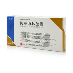 阿莫西林主要消炎什么:阿莫西林,抗生素如何精准打击细菌感染? 阿莫西林主要消炎什么:阿莫西林,抗生素如何精准打击细菌感染?