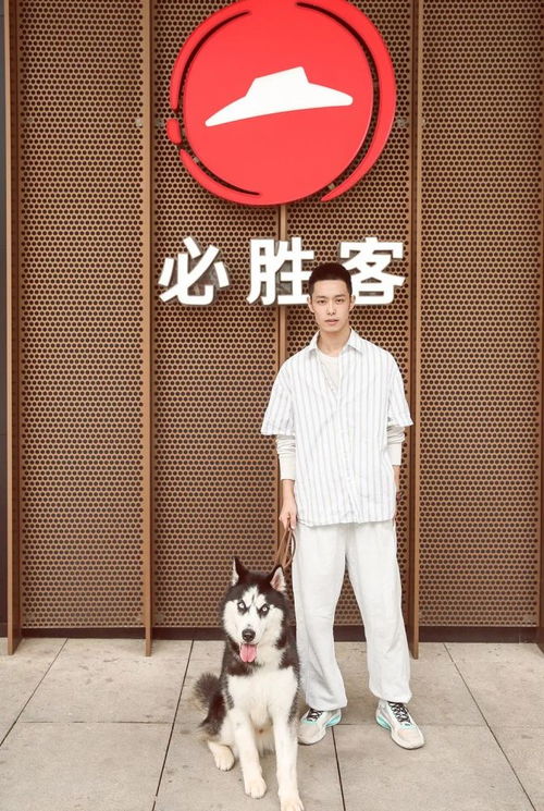 姻缘大人请留步电视猫:姻缘大人请留步!这只电视猫竟成了现代版红娘? 姻缘大人请留步电视猫:姻缘大人请留步!这只电视猫竟成了现代版红娘?