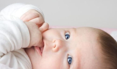 如何容易受孕成功:迈向成功受孕,健康备孕指南 如何容易受孕成功:迈向成功受孕,健康备孕指南