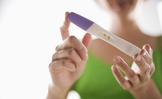 如何容易受孕成功:迈向成功受孕,健康备孕指南 如何容易受孕成功:迈向成功受孕,健康备孕指南