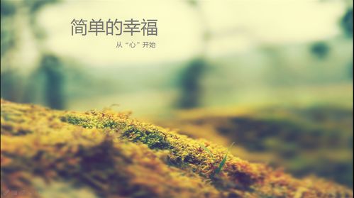 为孩子求姻缘祈祷的句子:为孩子求姻缘的祈祷,愿爱与幸福自然降临