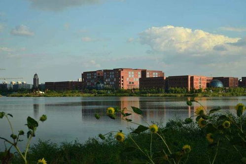 天津理工大学官网（天津理工大学官网录取结果）