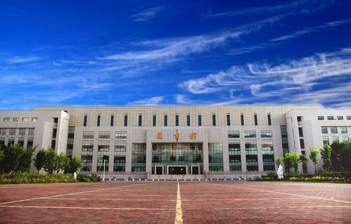 平顶山学院学费一年多少钱(平顶山学院什么档次) 平顶山学院学费一年多少钱(平顶山学院什么档次)