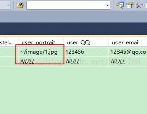 asp图片源码:ASP图片源码,实现图片上传与显示功能 asp图片源码:ASP图片源码,实现图片上传与显示功能