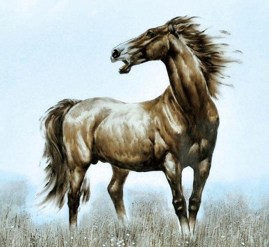 属马人做什么最挣钱:属马人财富密码大揭秘!这5个行业助你轻松突破收入天花板 属马人做什么最挣钱:属马人财富密码大揭秘!这5个行业助你轻松突破收入天花板