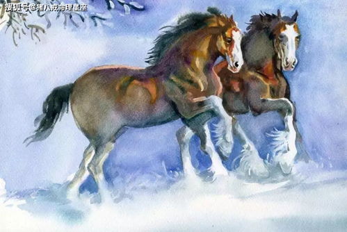 属马人做什么最挣钱:属马人财富密码大揭秘!这5个行业助你轻松突破收入天花板 属马人做什么最挣钱:属马人财富密码大揭秘!这5个行业助你轻松突破收入天花板