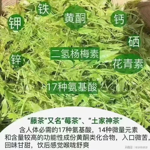 莓茶价格多少钱一斤:2024年莓茶价格全解析,一斤多少钱?看完你就懂了! 莓茶价格多少钱一斤:2024年莓茶价格全解析,一斤多少钱?看完你就懂了!
